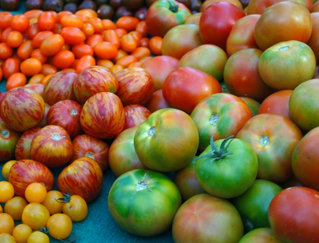 Quelle variété de tomates faire pousser ?