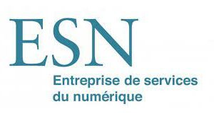 Qu’est-ce qu’une ESN : entreprise de services du numérique ?