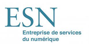 Qu’est-ce qu’une ESN : entreprise de services du numérique ?